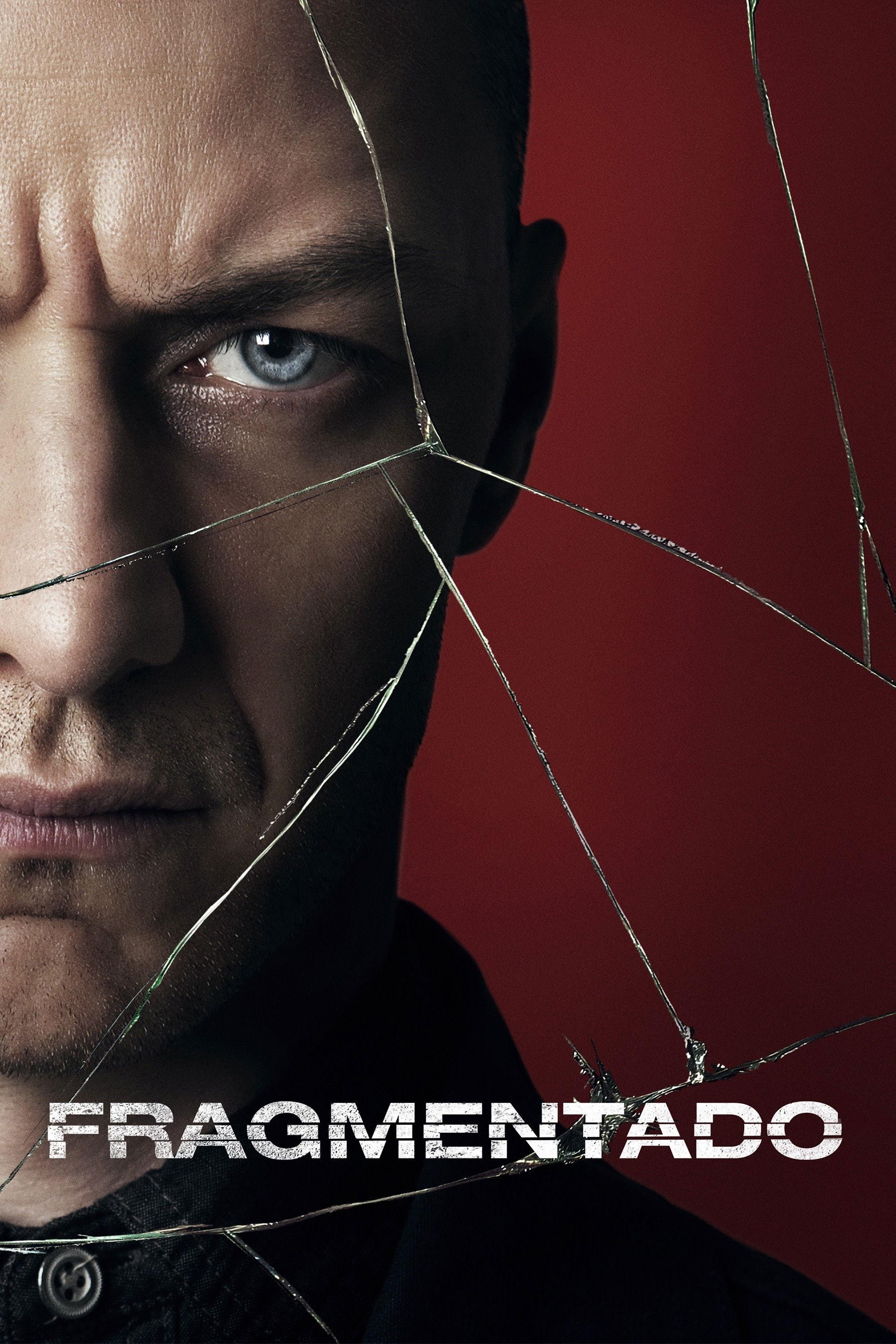Poster Fragmentado