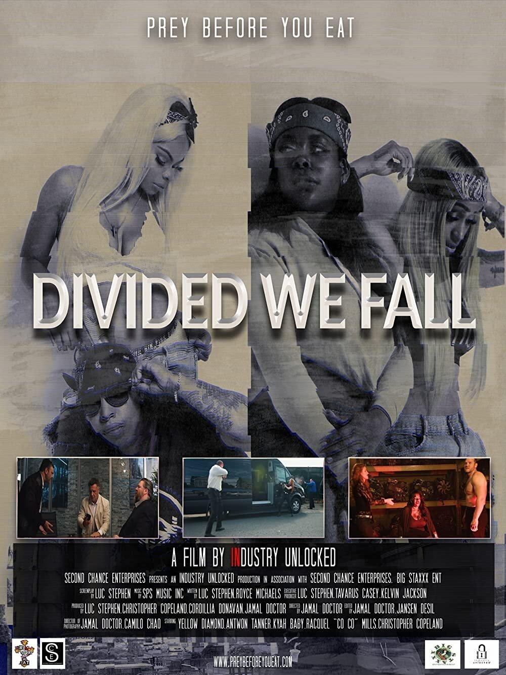 Poster Divided We Fall