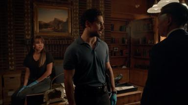 Poster episodio Wild Cards 1x9