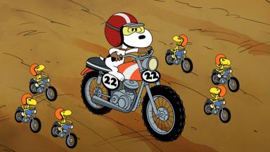 Poster episodio El show de Snoopy 1x13