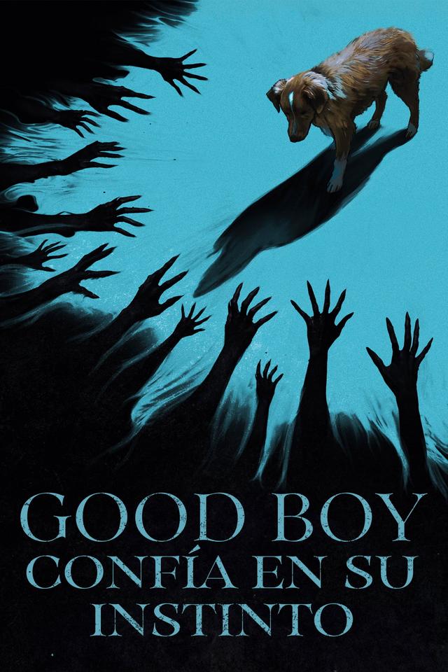 Poster Good Boy: Confía en su instinto