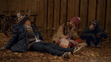 Poster episodio Jane 1x10