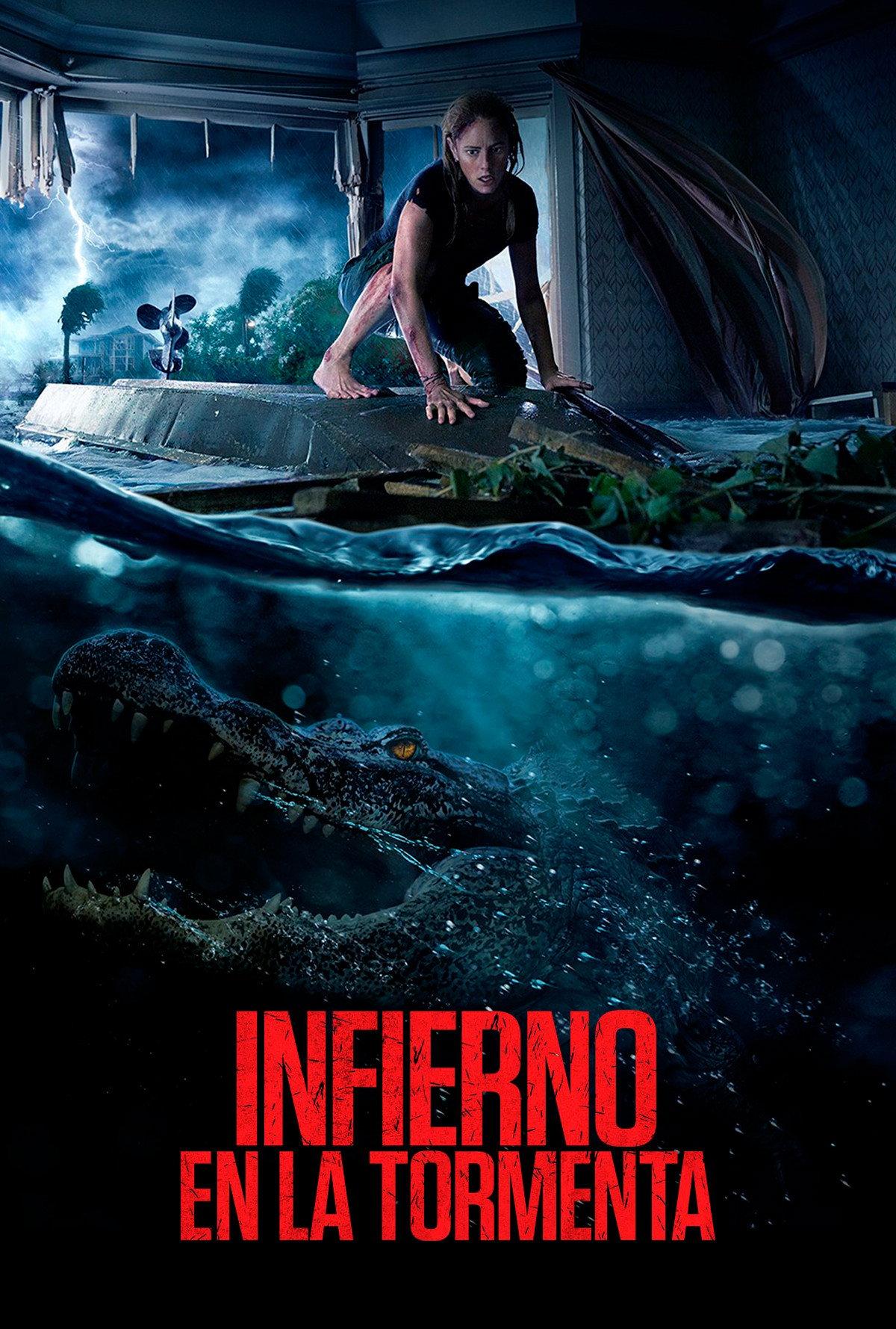 Poster Infierno en la tormenta