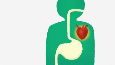 Poster episodio En pocas palabras 1x6