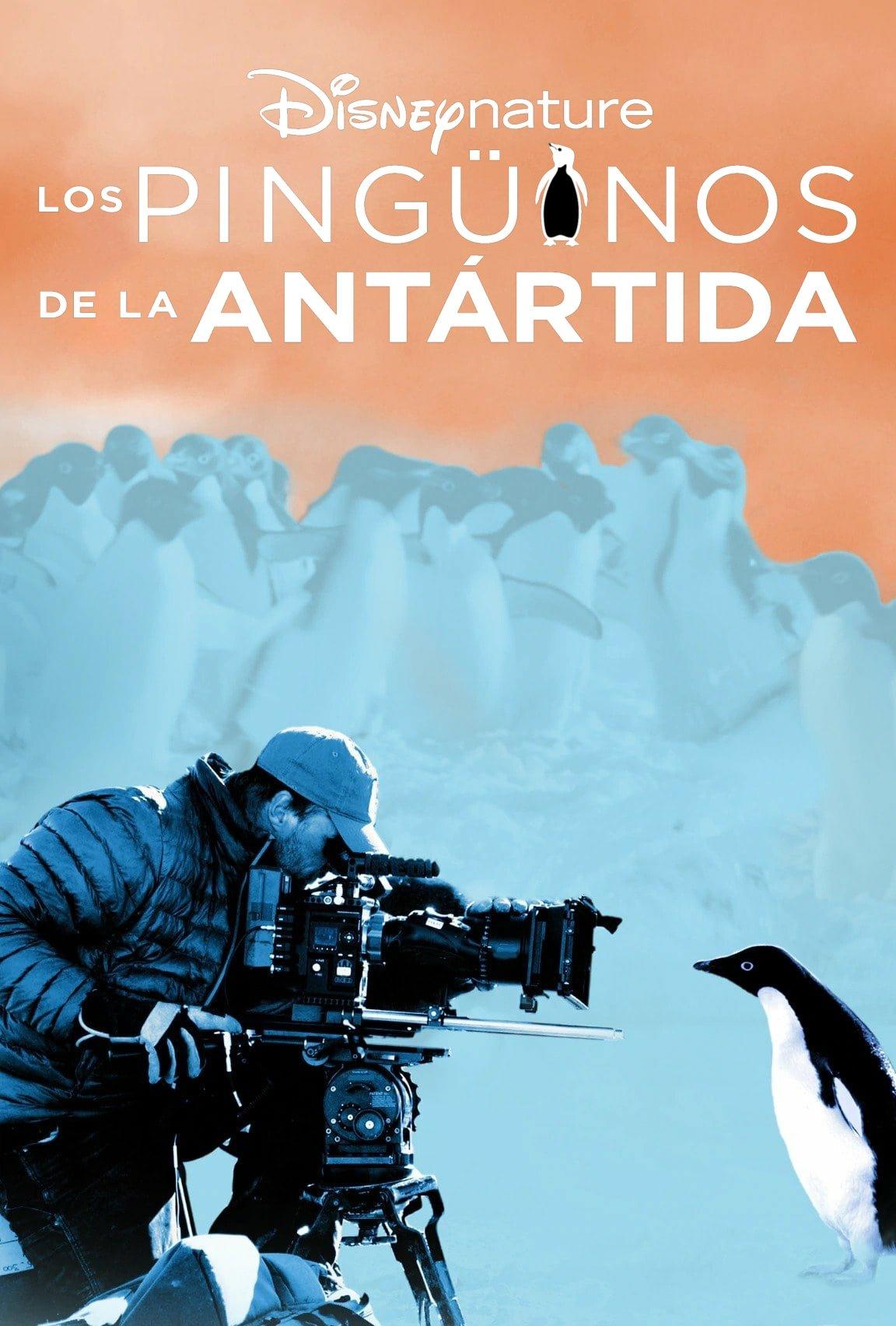Poster Penguins: Life on the Edge