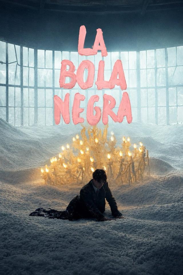 Poster La bola negra