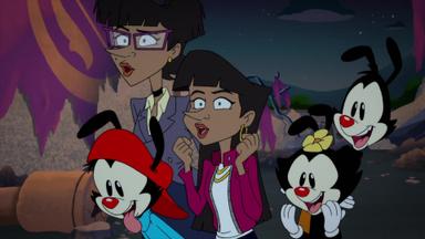 Poster episodio Animaniacs 2x11
