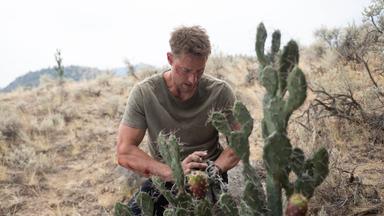 Poster episodio Tracker: Buscador de recompensas 3x4