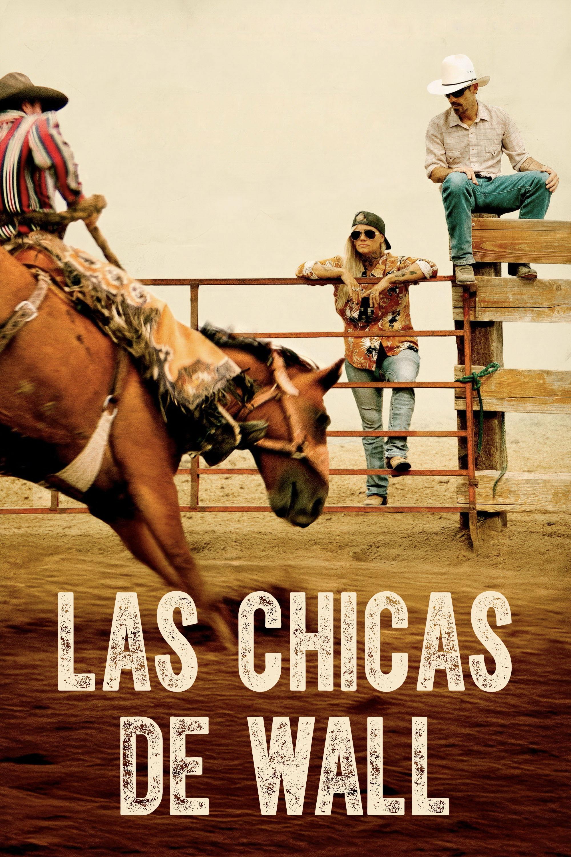 Poster Las Chicas de Wall