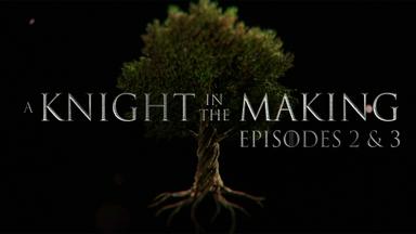 Poster episodio A Knight in the Making 1x2