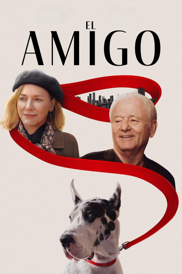 Poster El Amigo