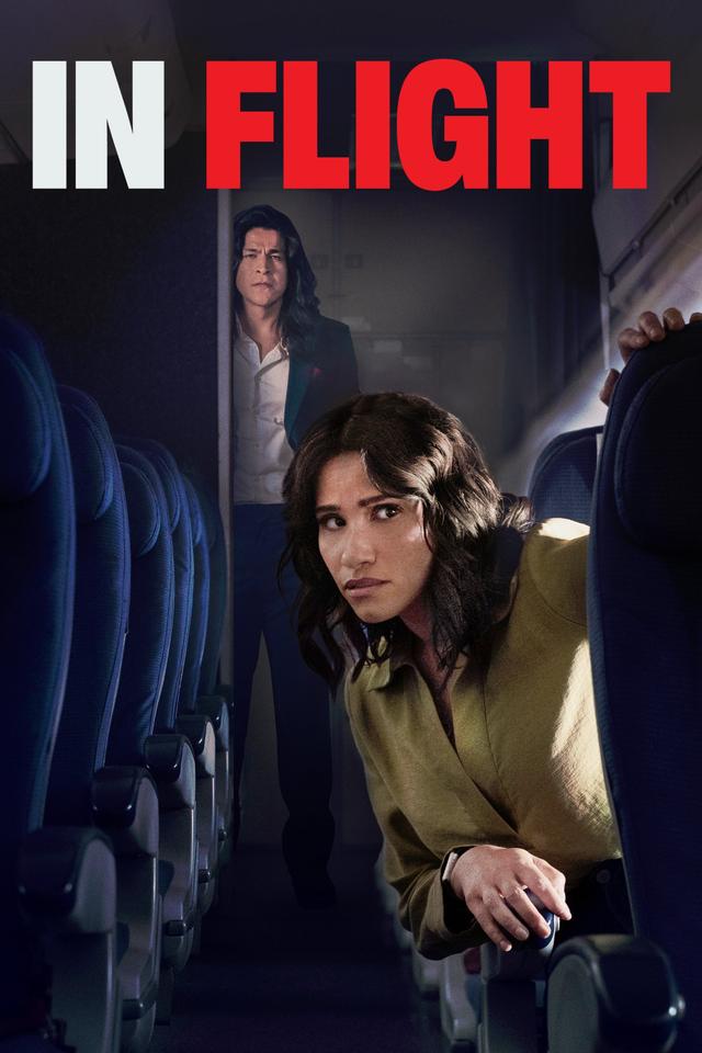 Poster In Flight