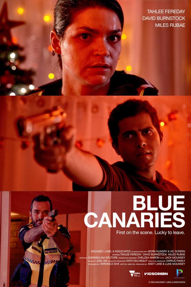 Poster Blue Canaries