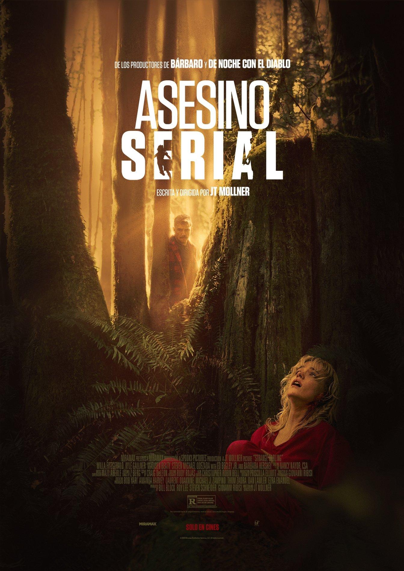Poster Asesino serial