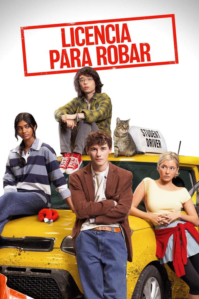 Poster Licencia para robar