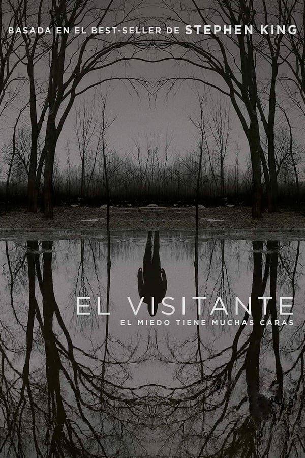 Poster El visitante