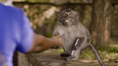 Poster episodio Underdogs 1x4