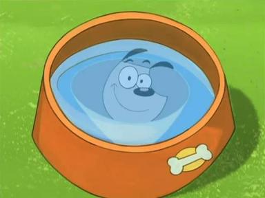 Poster episodio Poochini 1x1