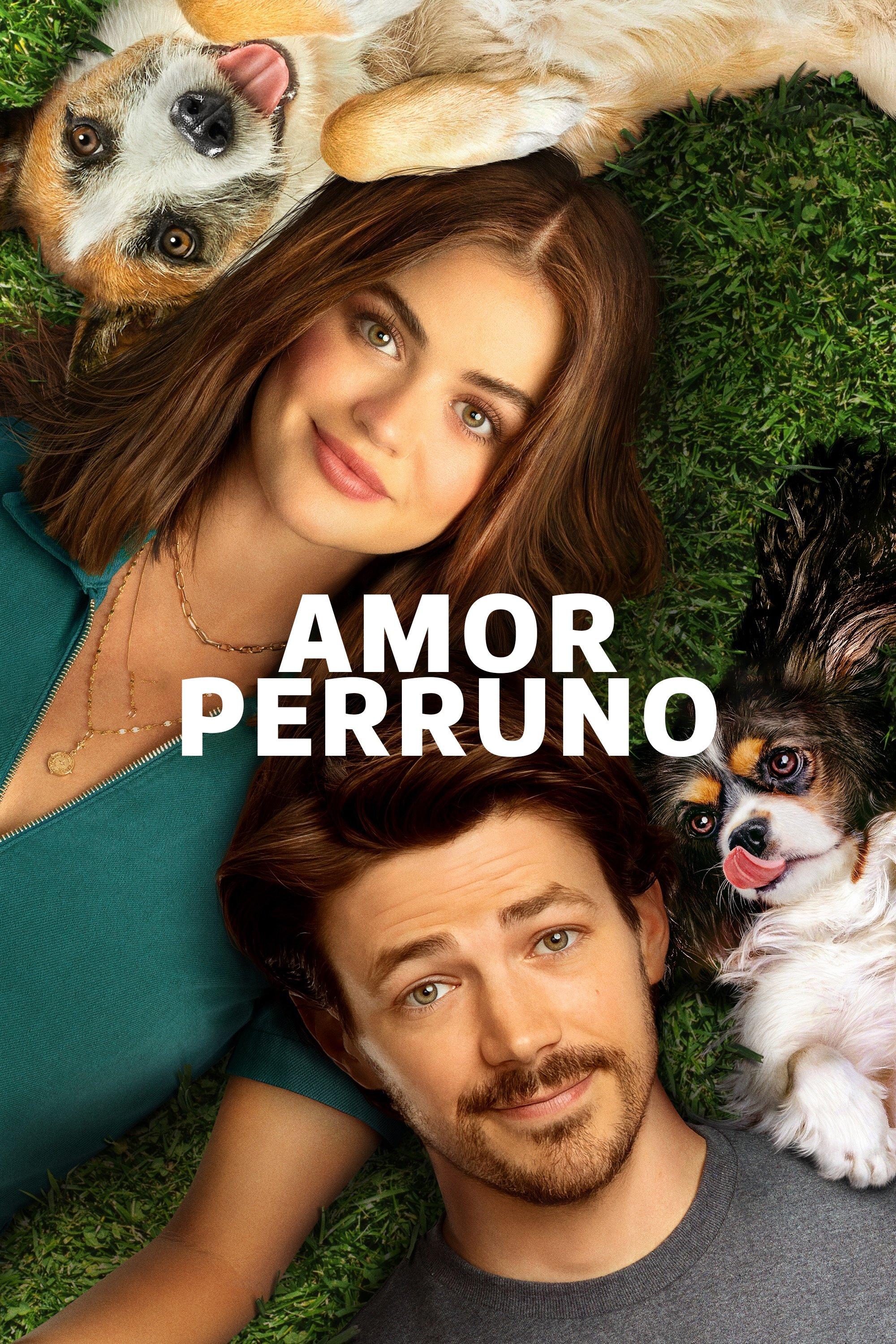 Poster Amor De Cachorros