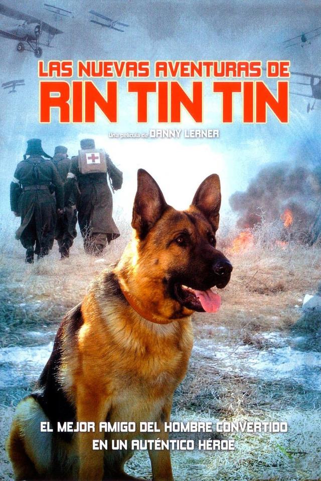Poster Las Nuevas Aventuras de Rin Tin Tin