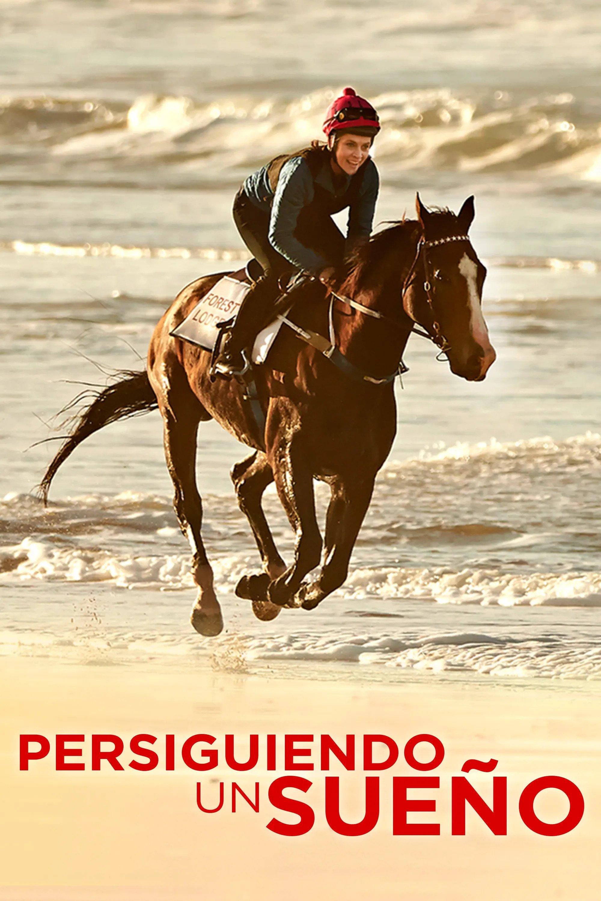 Poster Persiguiendo un sueño