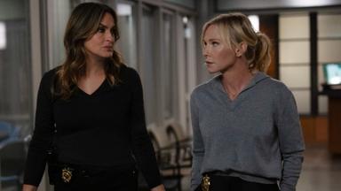 Poster episodio La Ley y el Orden: Unidad de Víctimas Especiales 27x4