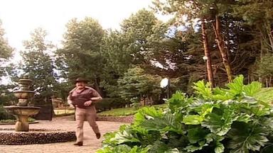 Poster episodio Sin senos no hay paraíso 1x11