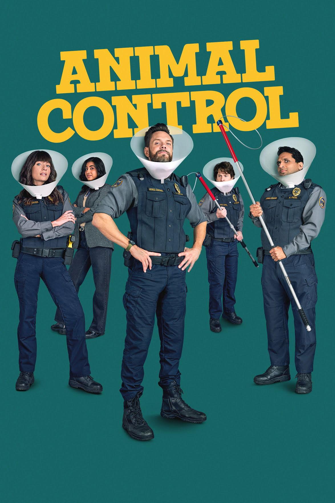 Poster Animal Control
