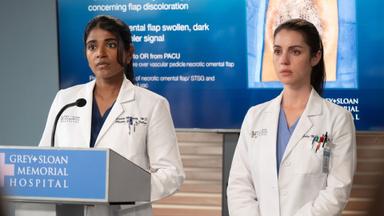 Poster episodio Anatomía según Grey 22x13