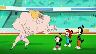 Poster episodio Animaniacs 1x8