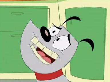 Poster episodio Poochini 1x13