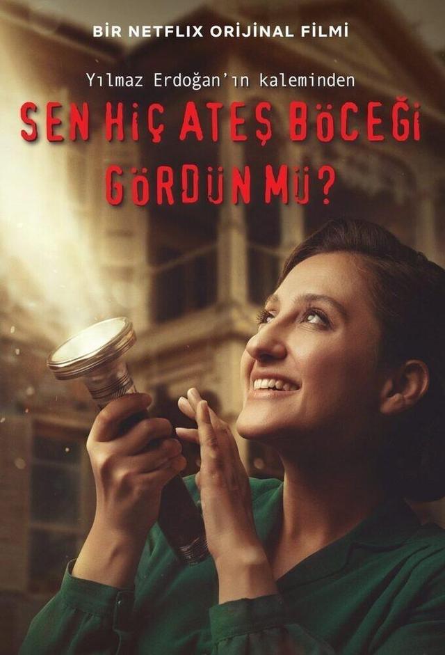 Poster ¿Has visto luciérnagas alguna vez?