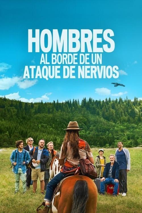 Poster Hommes au bord de la crise de nerfs