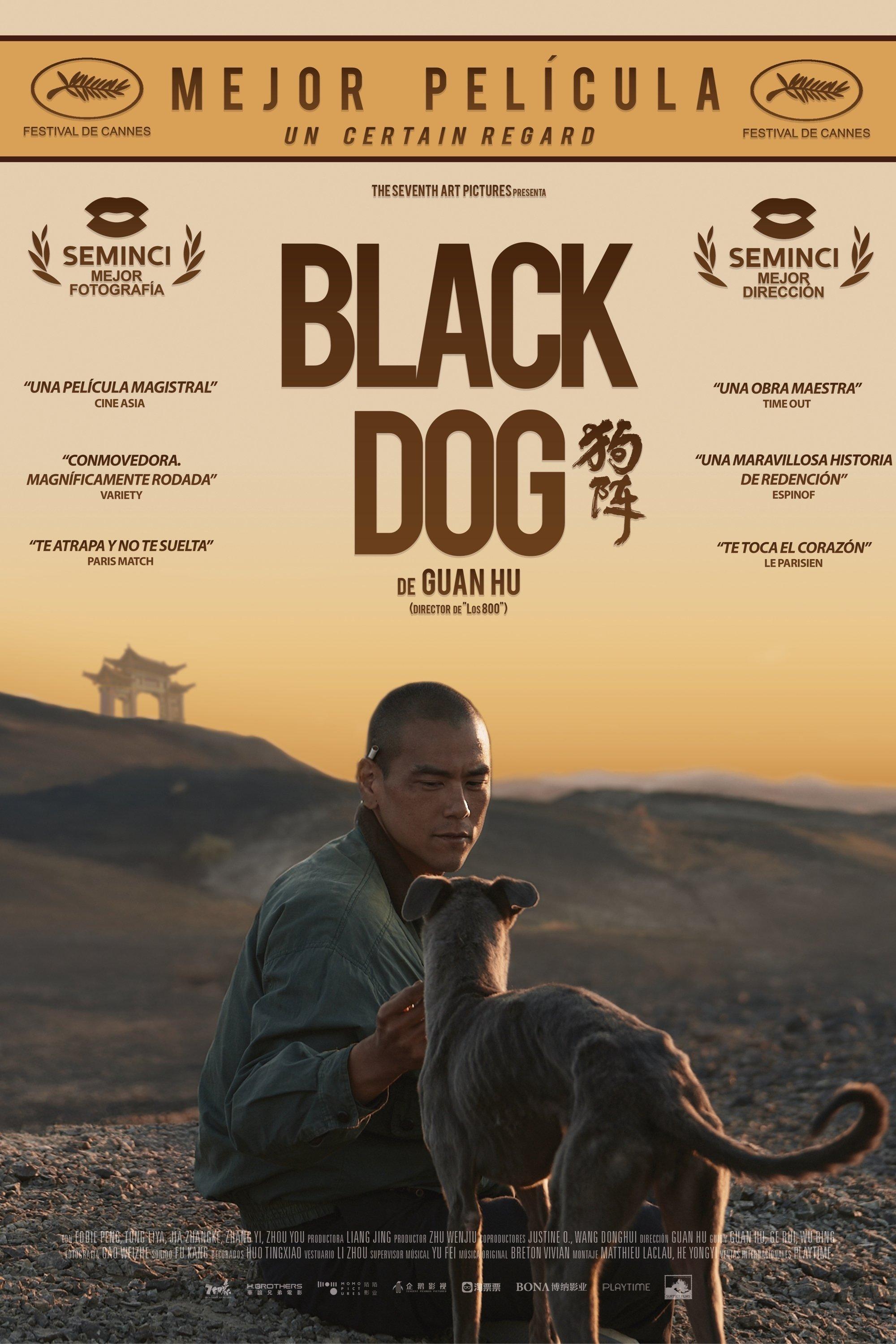 Poster Black Dog