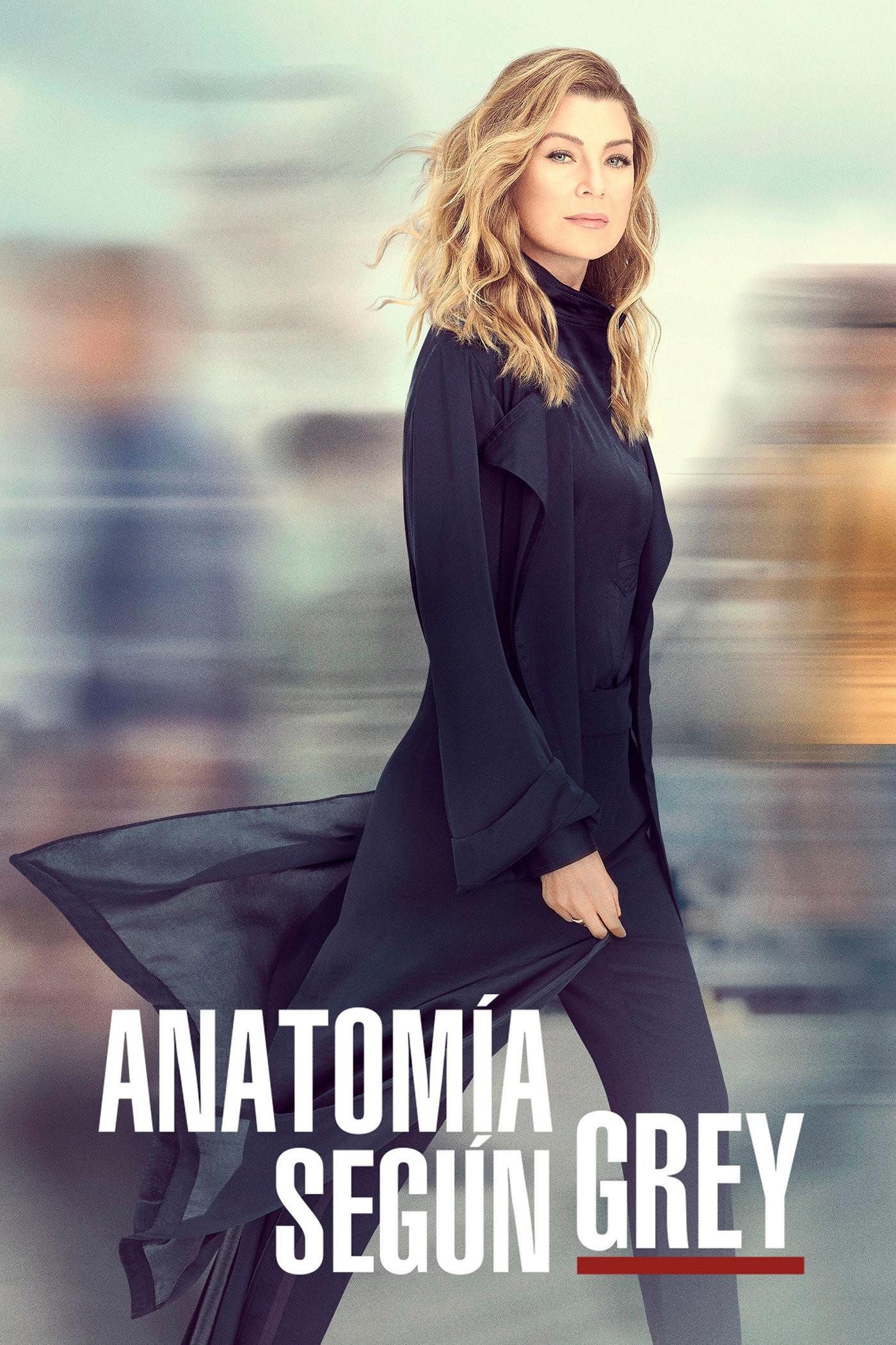 Poster Anatomía según Grey