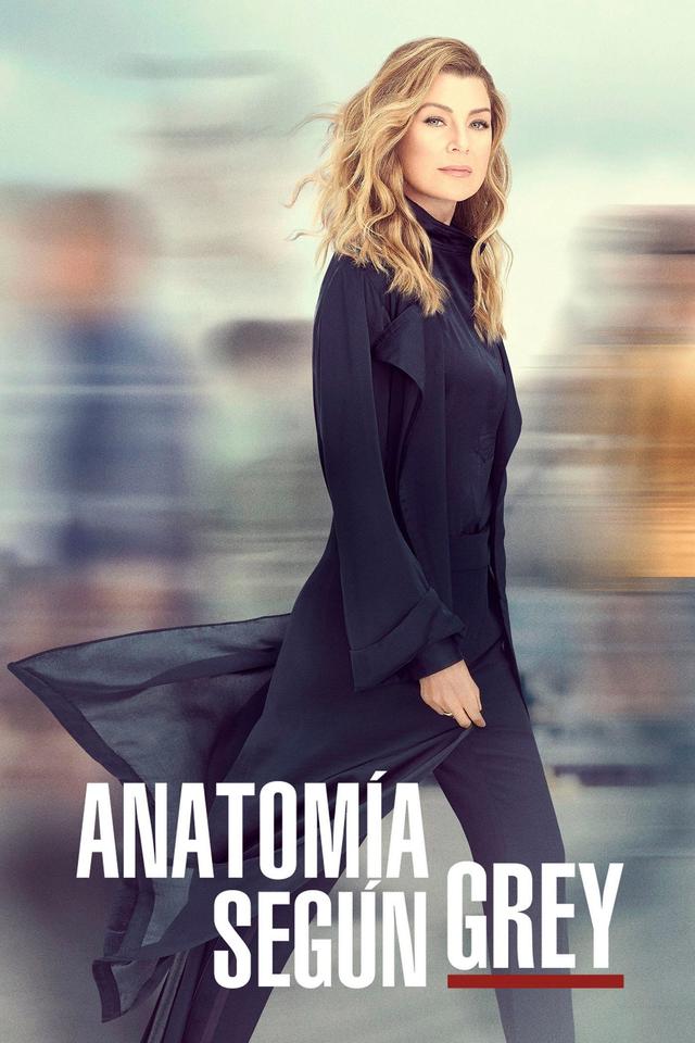 Poster Anatomía según Grey
