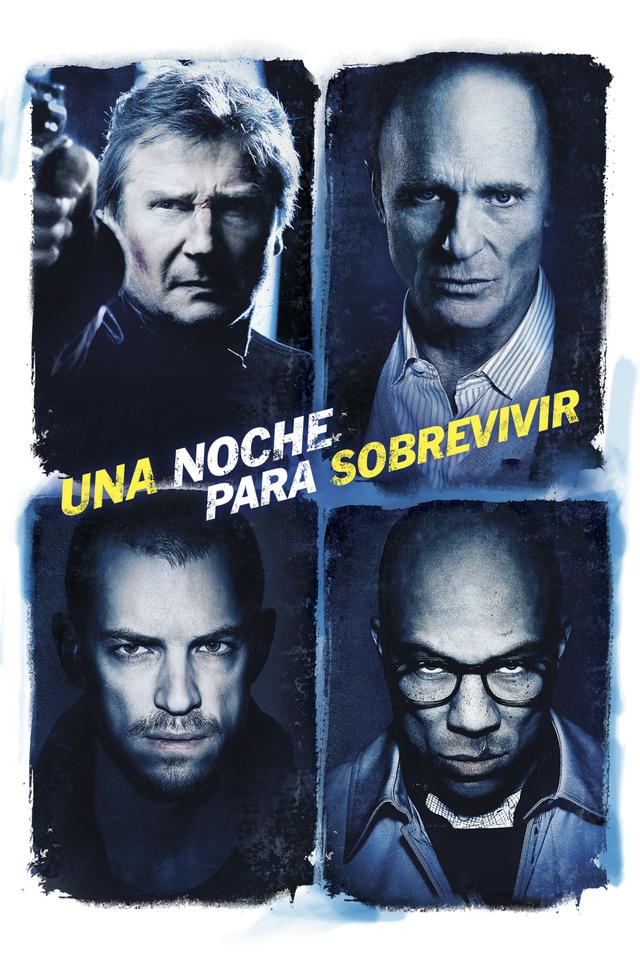 Poster Una noche para sobrevivir