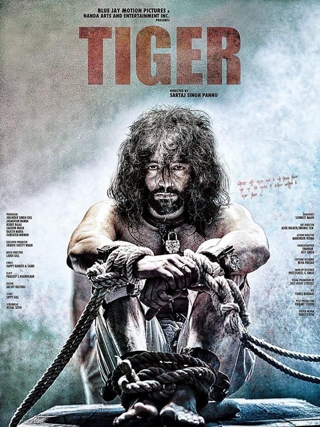 Poster Tiger