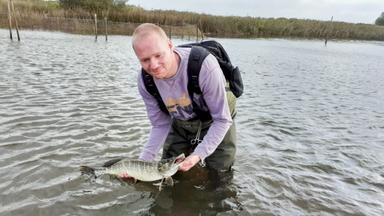 Poster episodio Caballos y verdugos 1x4
