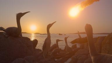 Poster episodio Los dinosaurios 1x4