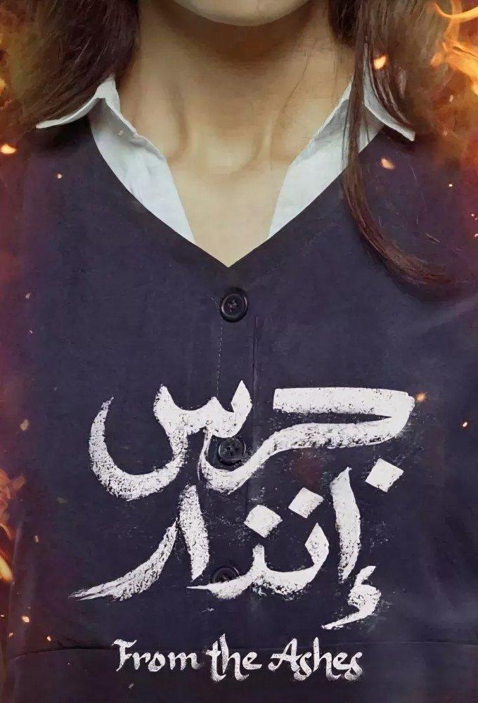 Poster De las cenizas