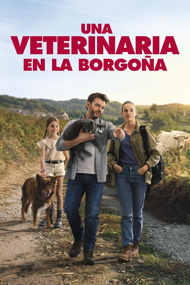 Poster Les vétos