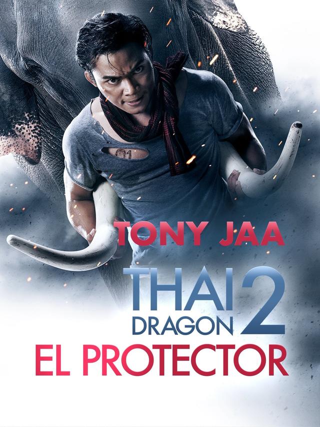 Poster El Protector 2