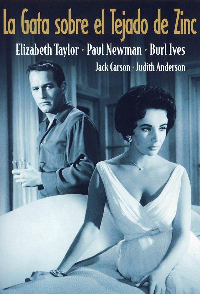 Poster Un gato sobre el tejado caliente