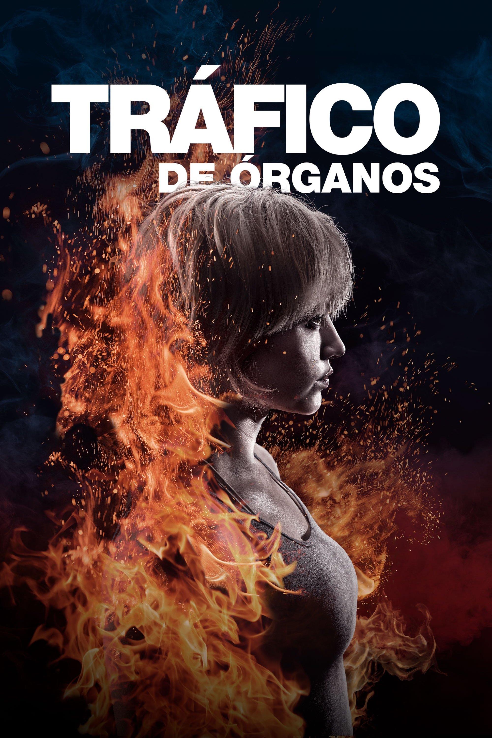 Poster Tráfico de órganos
