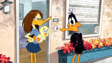Poster episodio El Show de los Looney Tunes 1x16
