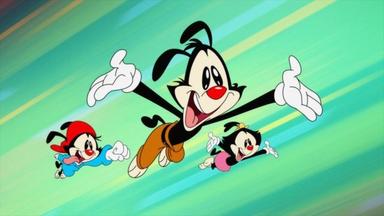 Poster episodio Animaniacs 1x2