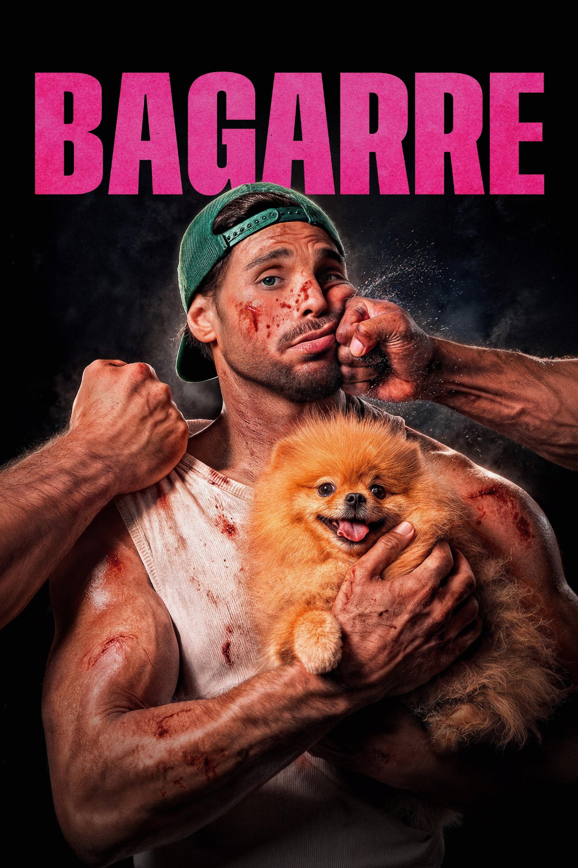 Poster Bagarre