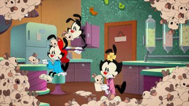 Poster episodio Animaniacs 1x11