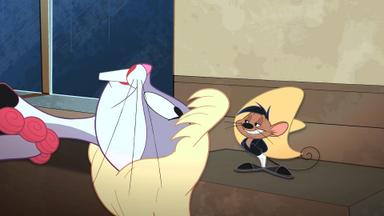 Poster episodio El Show de los Looney Tunes 1x22